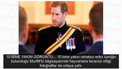 Prens Harry'e şok! Bilgisayarından çocuk pornosu ve hayvanlara tecavüz görüntüleri çıktı