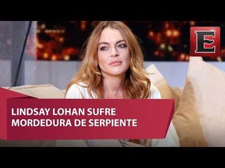 Lohan mordida por una serpiente