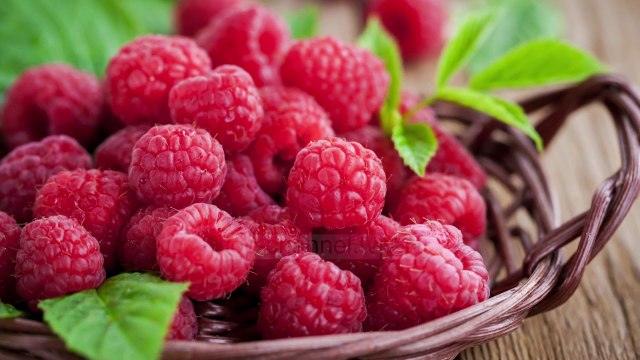 Frutat e pyllit, aleate të shkëlqyera për një shëndet të mirë - Top Channel Albania - News - Lajme