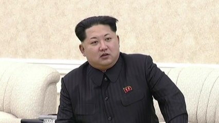 "김정은 위원장, 교황 방북하면 열렬히 환영" / YTN