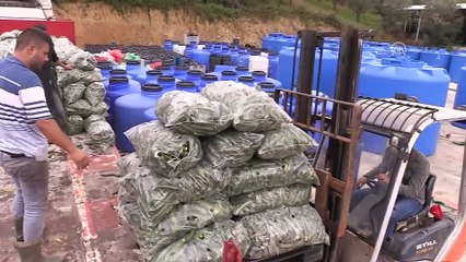 'Turşucu köy' ihracatta hedef büyüttü - BURSA