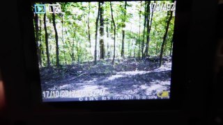I CAN'T BELIVE IT! (Trail Camera Reveal)