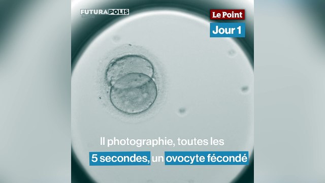 Les 5 premiers jours de la vie en 30 secondes