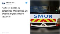 Maine-et-Loire. 46 personnes intoxiquées, un produit phytosanitaire suspecté.