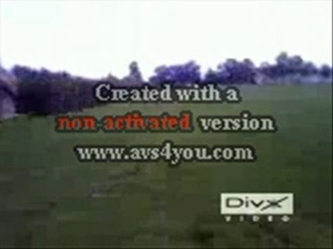 patex cross a decines