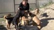 This Woman Gave Up Her City Life To Care For Stray Animals