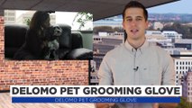 Delomo Pet Grooming Glove – Massage and Groom Your Pet Simultaneously