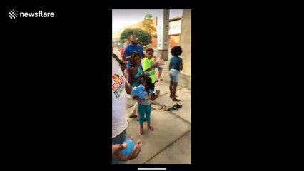 Writing's on the wall for this clever gender reveal