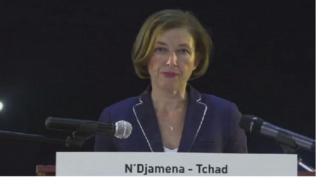 Tchad : "la paix du Sahel appartient d'abord au Sahel" Florence Parly