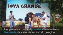 Zoológico fundado por narcos hondureños sufre falta de recursos