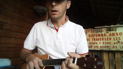 il parait qu'aujourd'hui c'est la grève (petit cheminot ukulele cover)