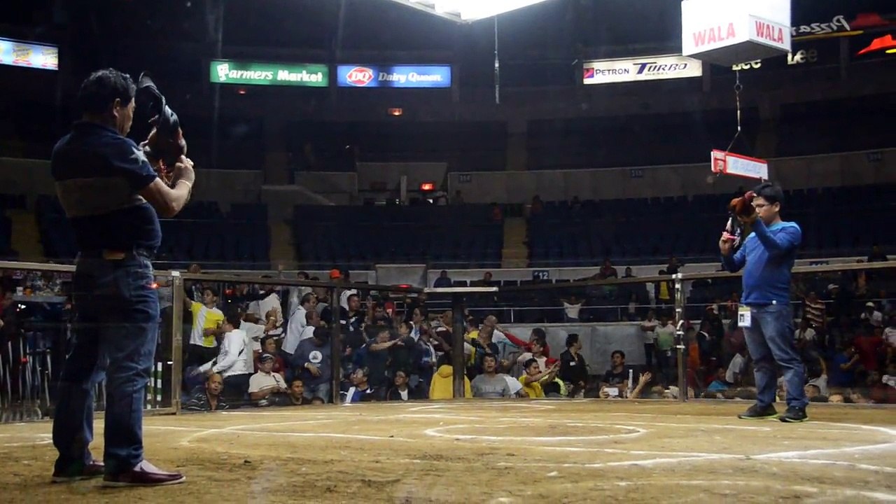Fight #20 Day 1 Pre-finals World Slasher Cup I 2017