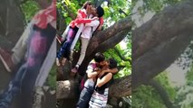Four Love Birds Enjoying on Mango Tree - Do Premi Jodo ki Jungle mein masti