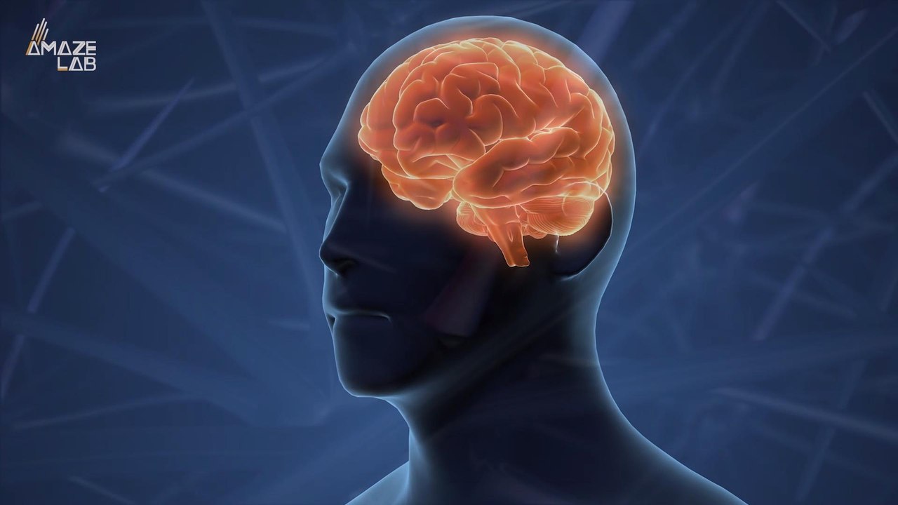 Scientists Just Found the Brain's ‘Sleep Switch’