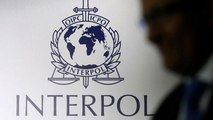 Riflettori puntati sull'Interpol: cos'è e come funziona?