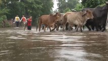 Las inundaciones en El Salvador provocan tres muertes