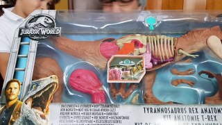 EL T-REX POR DENTRO!!Jurassic World KIT DE ANATOMIA De Tyrannosaurus Rex con el PROFESOR BIZCOCHE