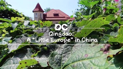 Qingdao, which was historically colonised by Germany, is a tourist city with beautiful coastal scenery and Bavarian architecture. The city is well known for its