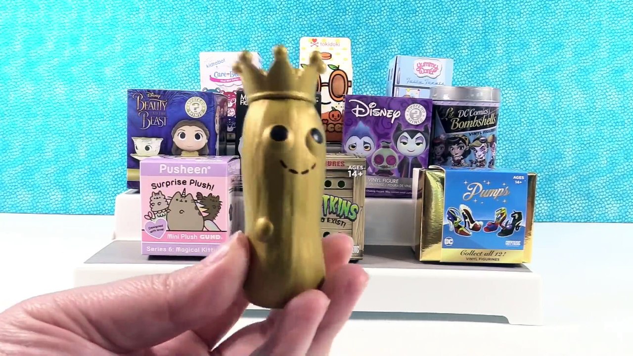 Paul vs Shannon Blind Bag Challenge Funko Pusheen Opening _ PSToyReviews