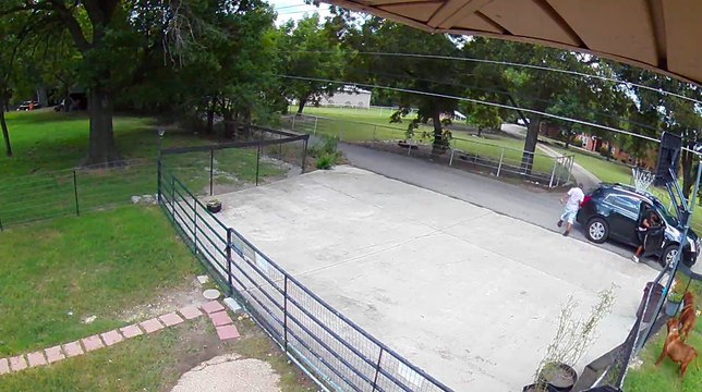 Security Camera Captures Horrible Puppy Theft