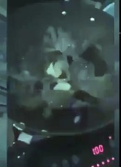 Tavadan kaçıp arkadaşlarını kurtarmak için ocağın altını kapatan yengeç