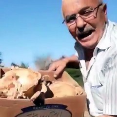 Gördünüz mü böyle mantar?