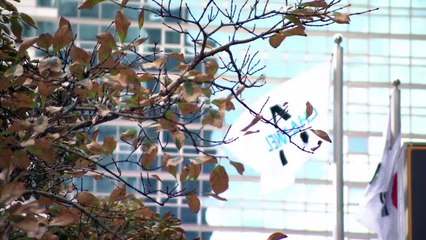 10월 10일 김진의 돌직구쇼 오프닝