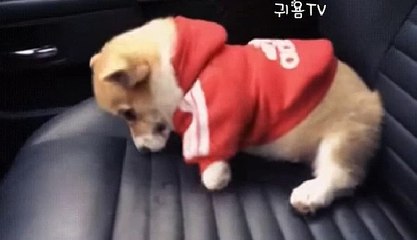 화성출장아가씨//전화☎문자//화성출장안마oIo_2762_2119 화성출장마사지 만족도1위 화성마사지 화성신속한출장∽화성출장마사지∀화성출장마사지™화성자택출장