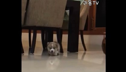 분당출장아가씨//전화☎문자//분당출장안마oIo_2762_2119 분당출장마사지 만족도1위 분당마사지 분당신속한출장∽분당출장마사지∀분당출장마사지™분당자택출장