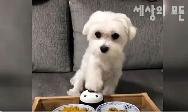 안산출장안마//후불입니다// ♂｛CALL｝Ō1Ō∪2762∪2119안산HOME출장마사지샵'후불'안산출장샵((20~30대))안산출장안마코스 안산여8안산마사지1등 안산출장만