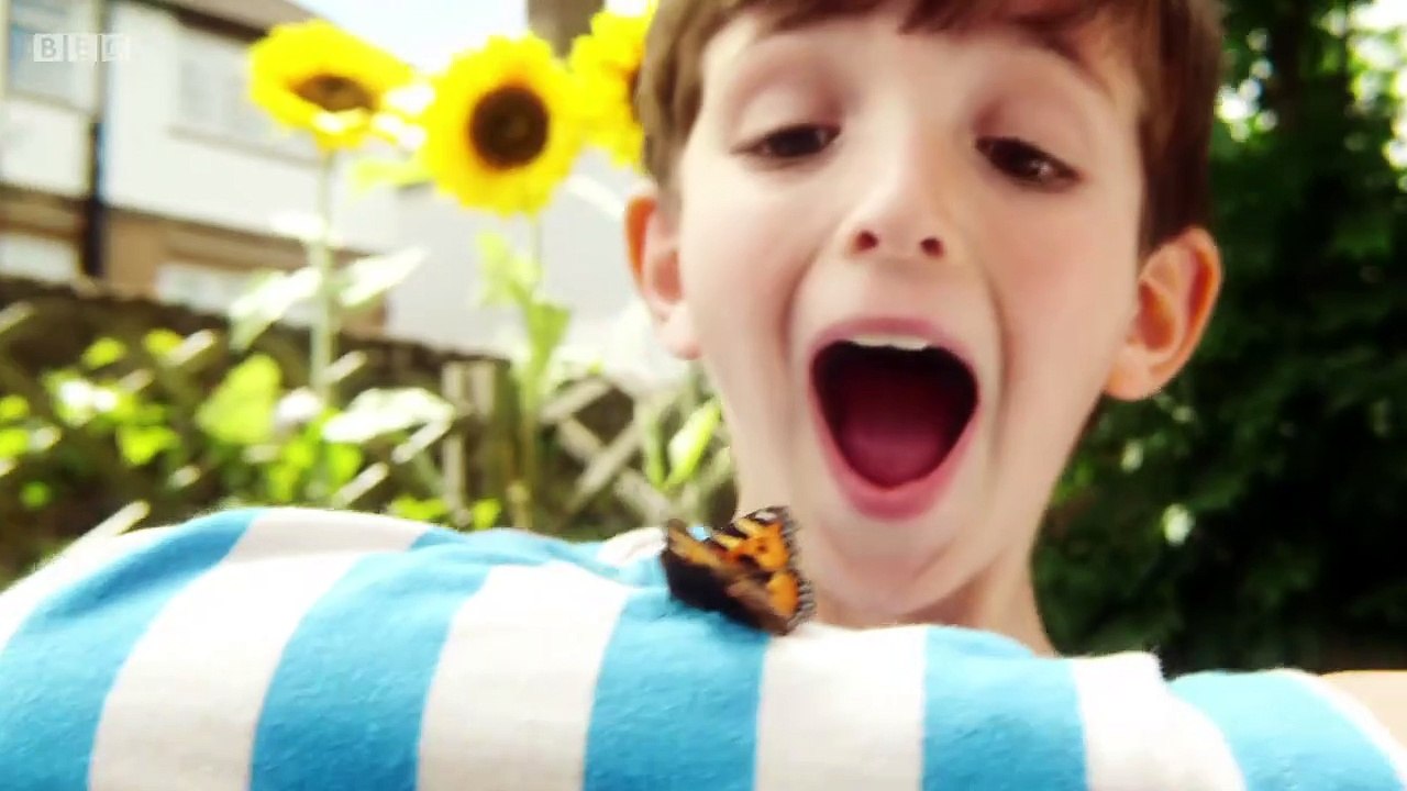 Topsy and Tim.s01e03.Double Playdate