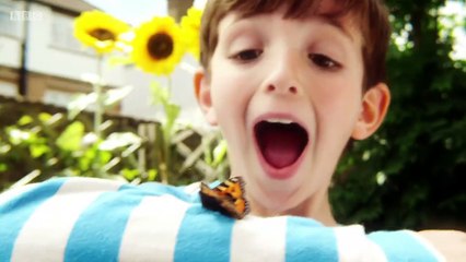 Topsy and Tim.s01e02.Strange Beds