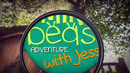 Minibeast Adventure with Jess.s01e20.Snail