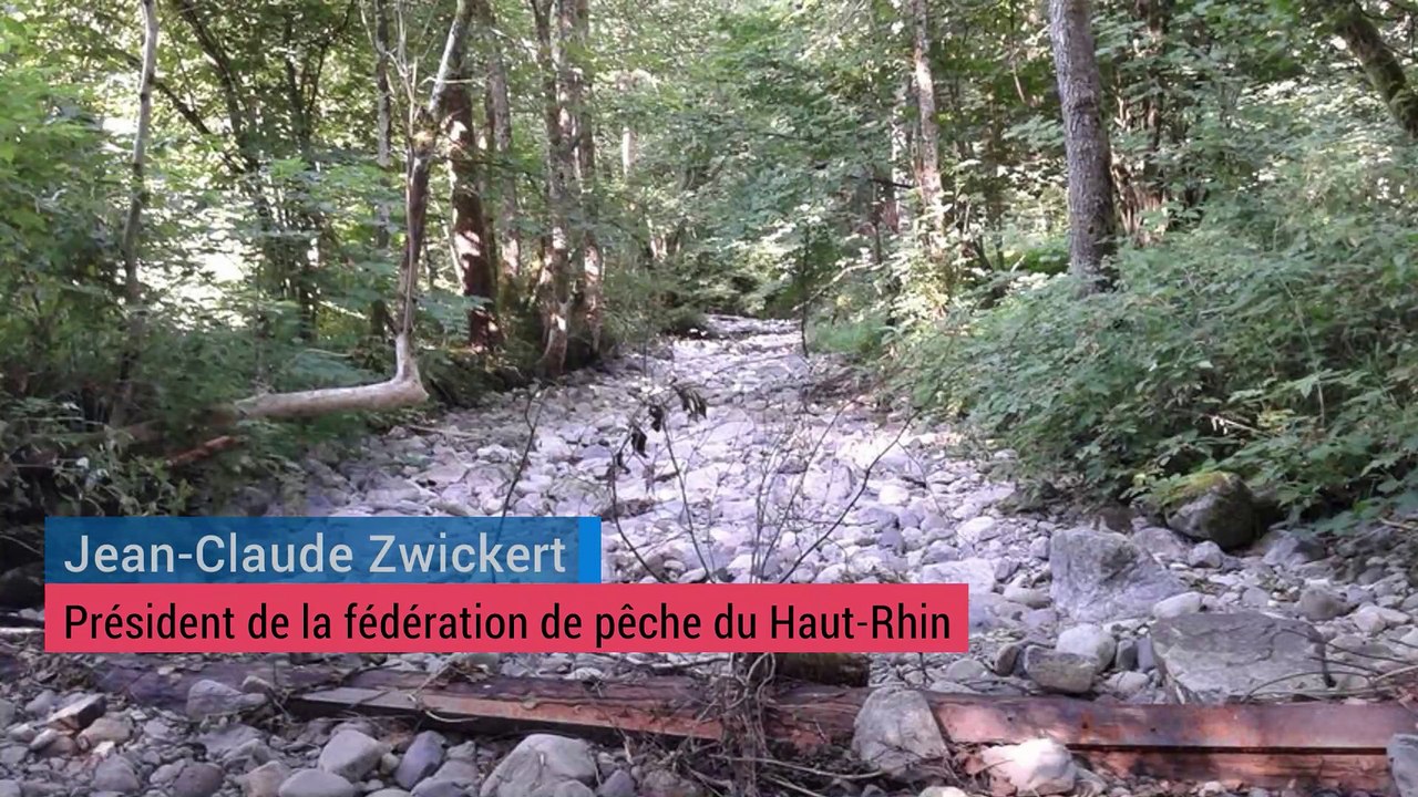 Les pêcheurs haut-rhinois s'inquiètent du niveau de l'eau dans les cours d'eau