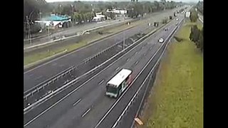 A Cockatoo Checking Out A Freeway Traffic Camera Is What We Need Today