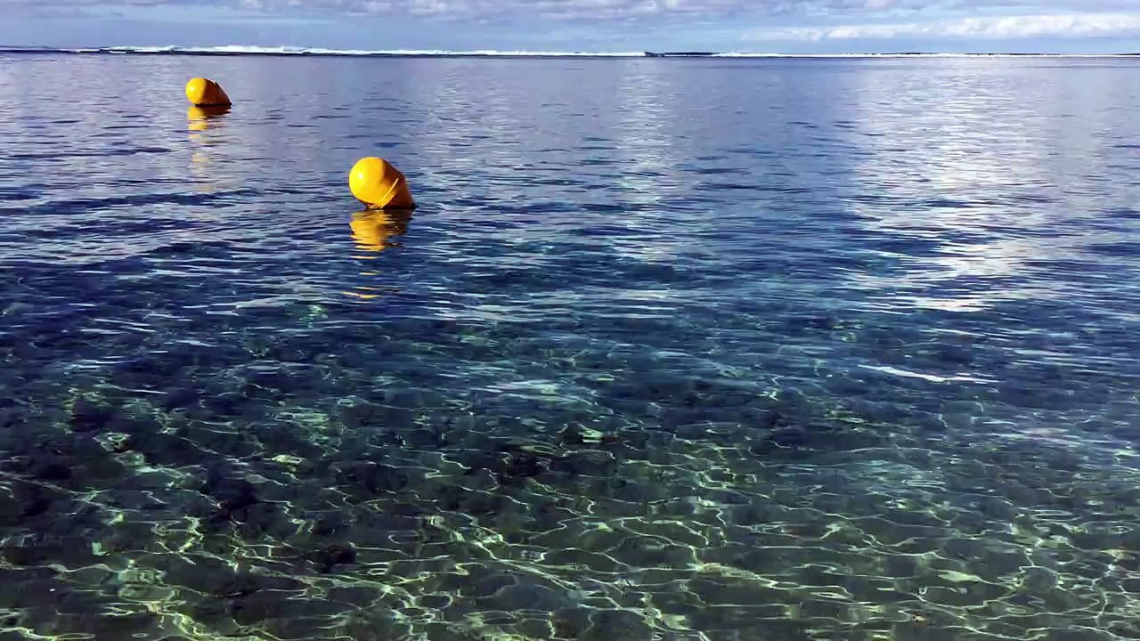 Qui aime se laisser bercer par le bruit des vagues ?