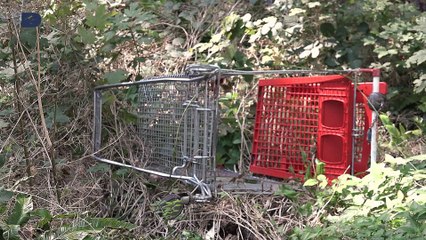 [Environnement] Focus sur les collecteurs de déchets sauvages