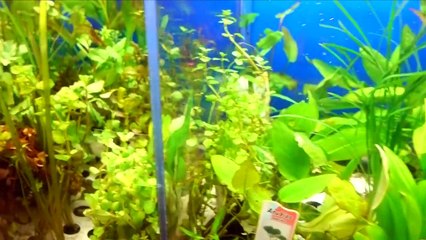 SOMETHING BAD HAPPENED  (