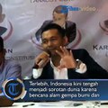 Direktur Lembaga Pemilih Indonesia (LPI) Boni Hargens berpendapat kasus hoaks penganiayaan aktivis Ratna Sarumpaet memalukan Indonesia di dunia internasional.