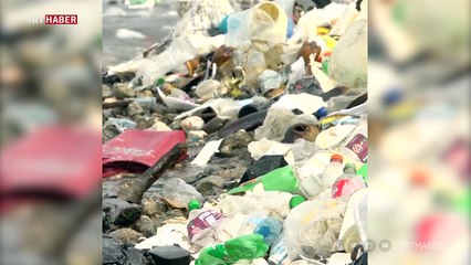 Plastik atıklarla kaplı Haiti kıyıları