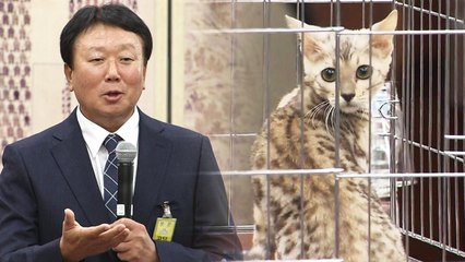 대북·경제 정책 놓고 국감 첫날 '충돌' / YTN