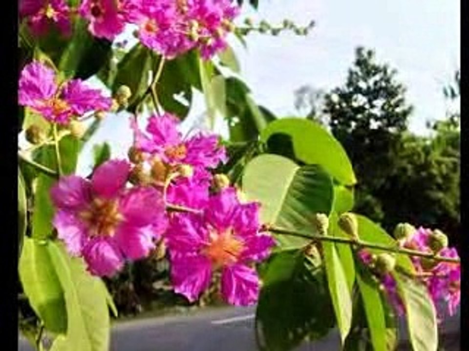 GIỚI....