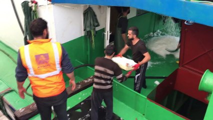 Karadeniz'den palamut fışkırıyor...Her gün 30 ton palamut Anadolu'ya sevk ediliyor