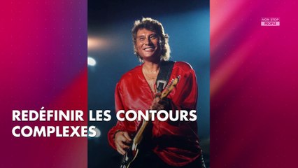 Johnny Hallyday endetté, contrôlé : Pourquoi le fisc se mêle du règlement de sa succession