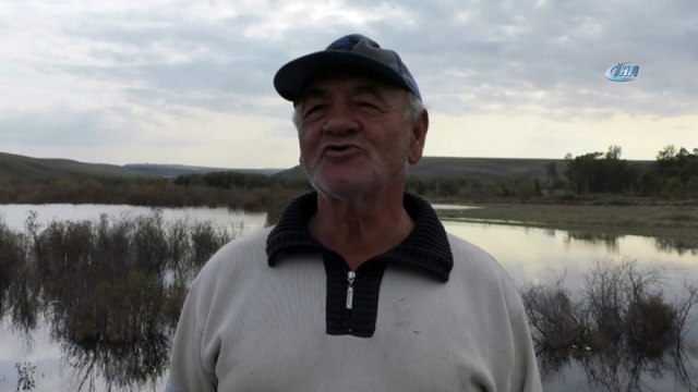 Kuyucuk Gölü kurudu, yaban hayvanları baraj gölüne sığındı