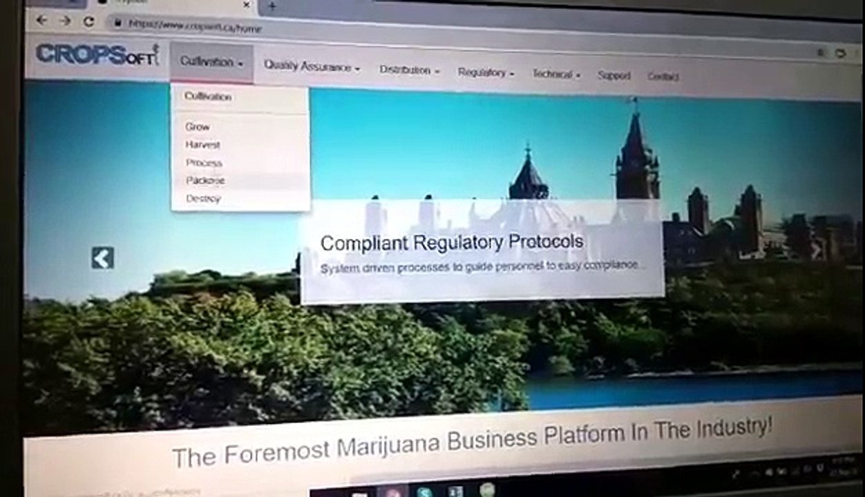 Cannabis Regulations For licensed producers | Cannabis For Medical Purposes