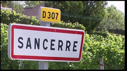 Un Verre de Sancerre par l' Orchestre Dominique et Stéphanie Floquet