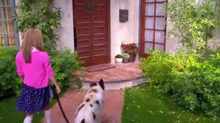 Dog With A Blog S01E02 The Fast and the Furriest