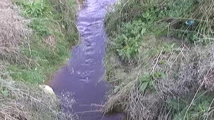 Tekirdağ'da Çevre Katliamı: Dere Kızıla Döndü