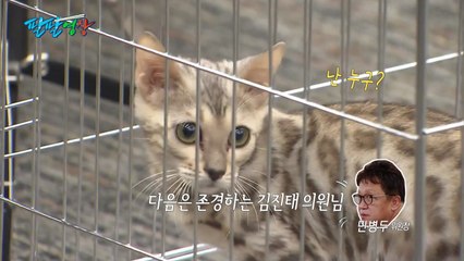 [팔팔영상] 김진태 "불쌍하지 않습니까, 저 퓨마!" / YTN